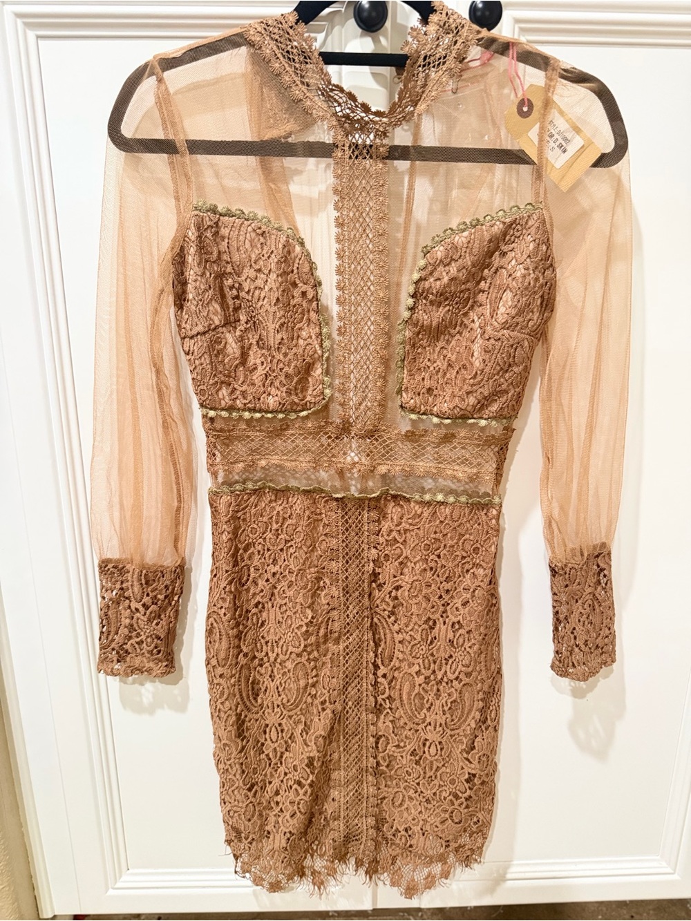 Sheer Lace Long-Sleeve Mini Dress in Taupe